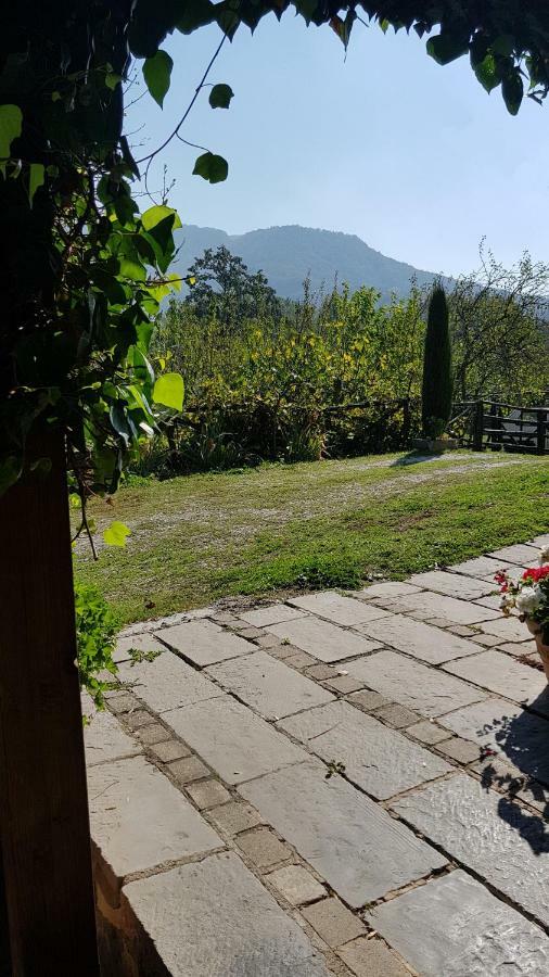 Bed and Breakfast Alla Battuta Sansepolcro Exterior foto